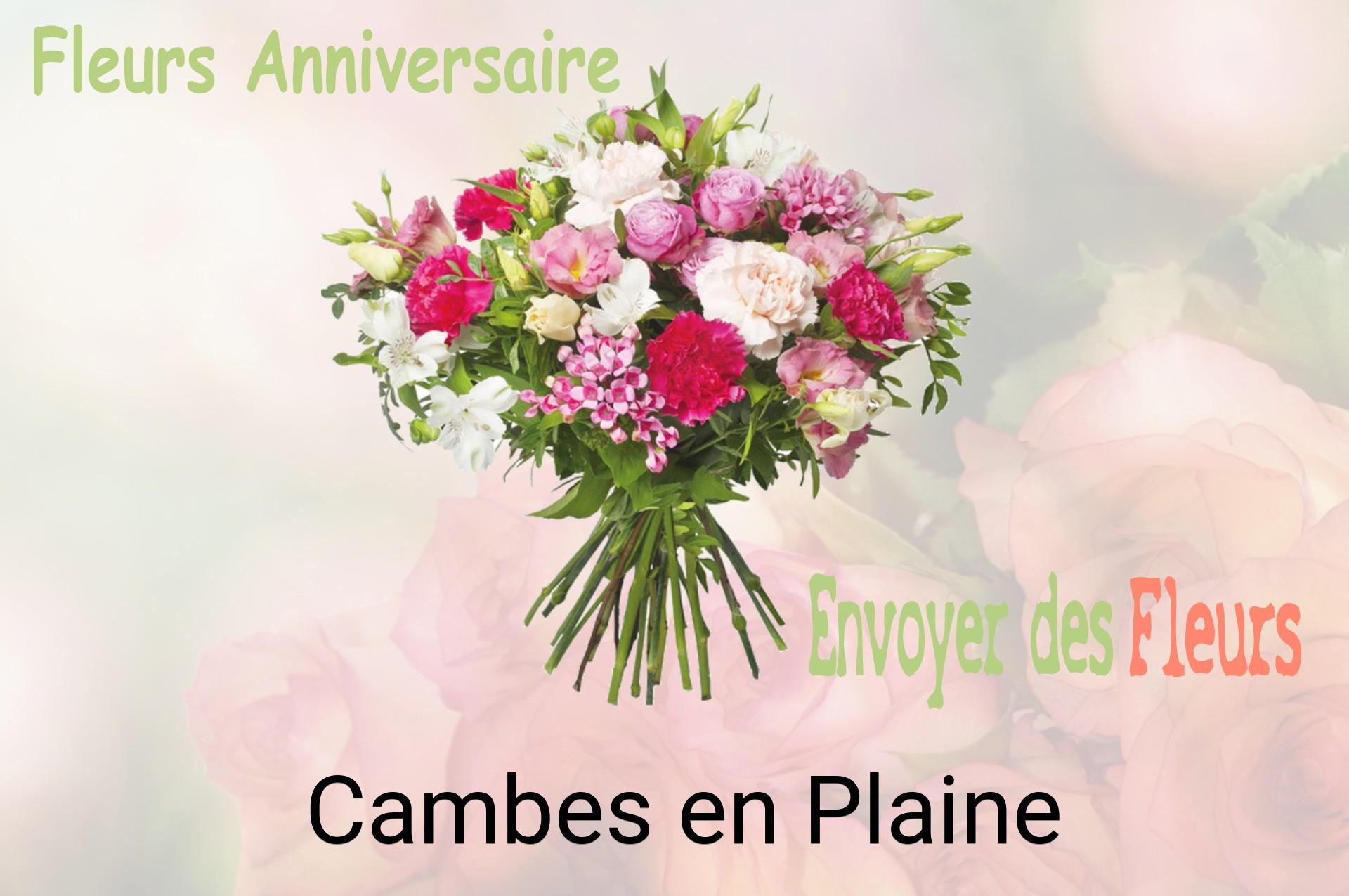 Bouquet de fleurs d’anniversaire livré à Cambes-en-Plaine