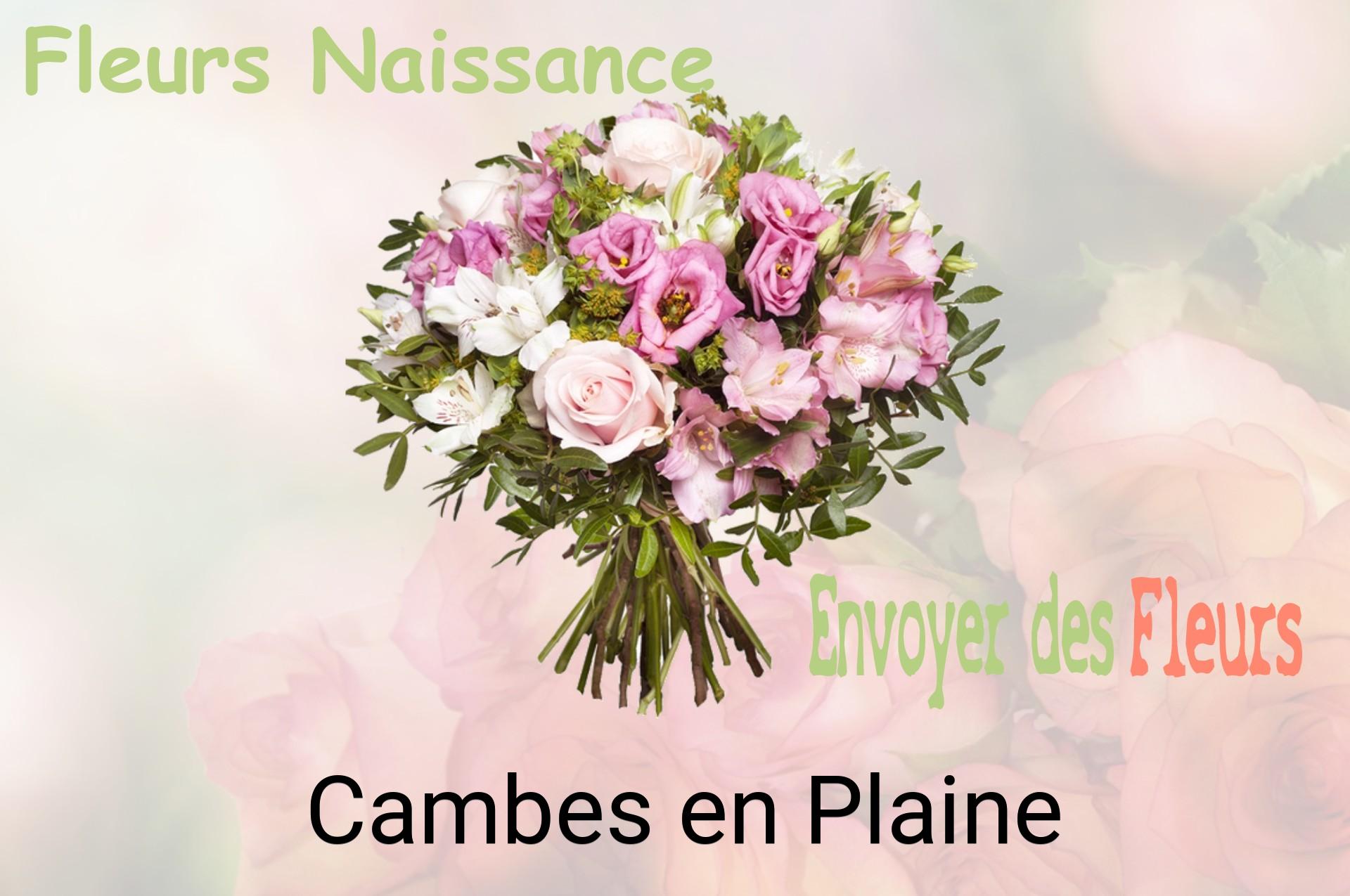 Bouquet de fleurs de naissance livré à Cambes-en-Plaine