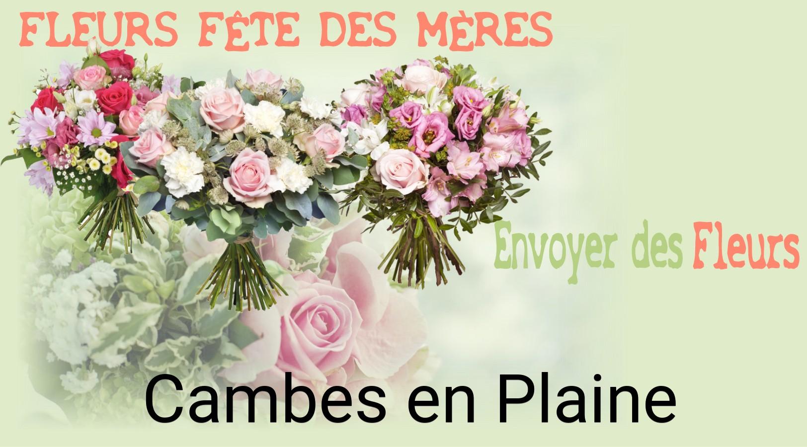 Bouquet de Fête des Mères livré à Cambes-en-Plaine