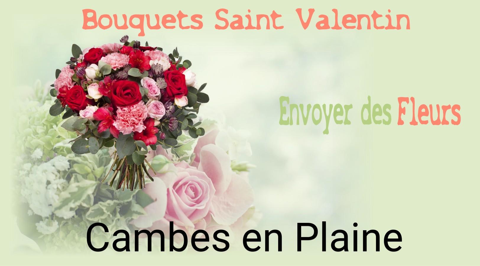Roses de Saint-Valentin livrées à Cambes-en-Plaine